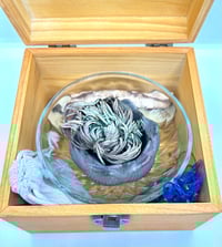 Image 4 of Rose of Jericho Deluxe Intention Setting Kit