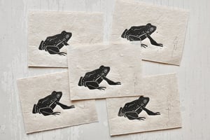 Image of Frog #3