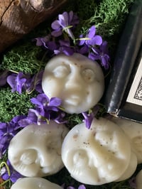 Image 2 of Mother Moon Melts 