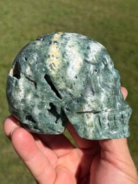 Image 10 of Ocean Jasper Skull #2177