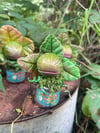 Random Audrey2