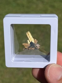 Image 2 of Golden Rutile & Hematite Star Specimen|Brazil #2932