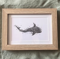 Image 1 of Floral Whale Shark 