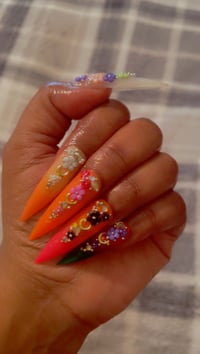 Image 5 of Nails - XL Luxury Multi Colors