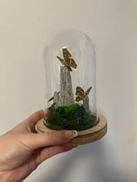 Image 2 of Himalayan Jester Dome