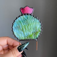 Image 4 of Barrel Cactus