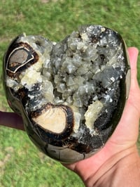 Image 4 of Septarian Nodule Polished Freeform With UV Calcite Inclusions| Madagascar #2893