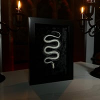 Image 2 of Ramen Noodle - Snake Skeleton 