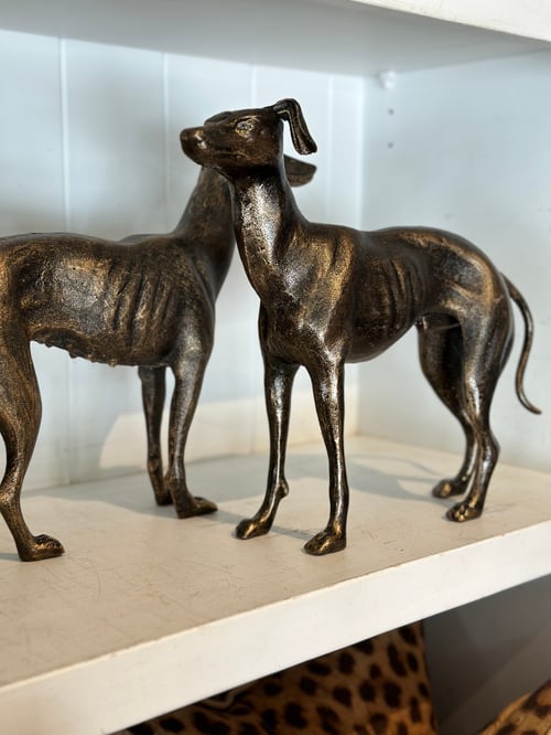 Image of Whippet Pair 