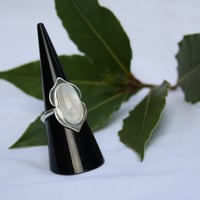 Image 3 of Shielded (Moonstone)