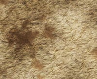 Image 2 of Dead Grassland — #2100 — 6’x4’ plus 