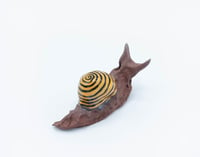 Yellow & Red Clay Snail