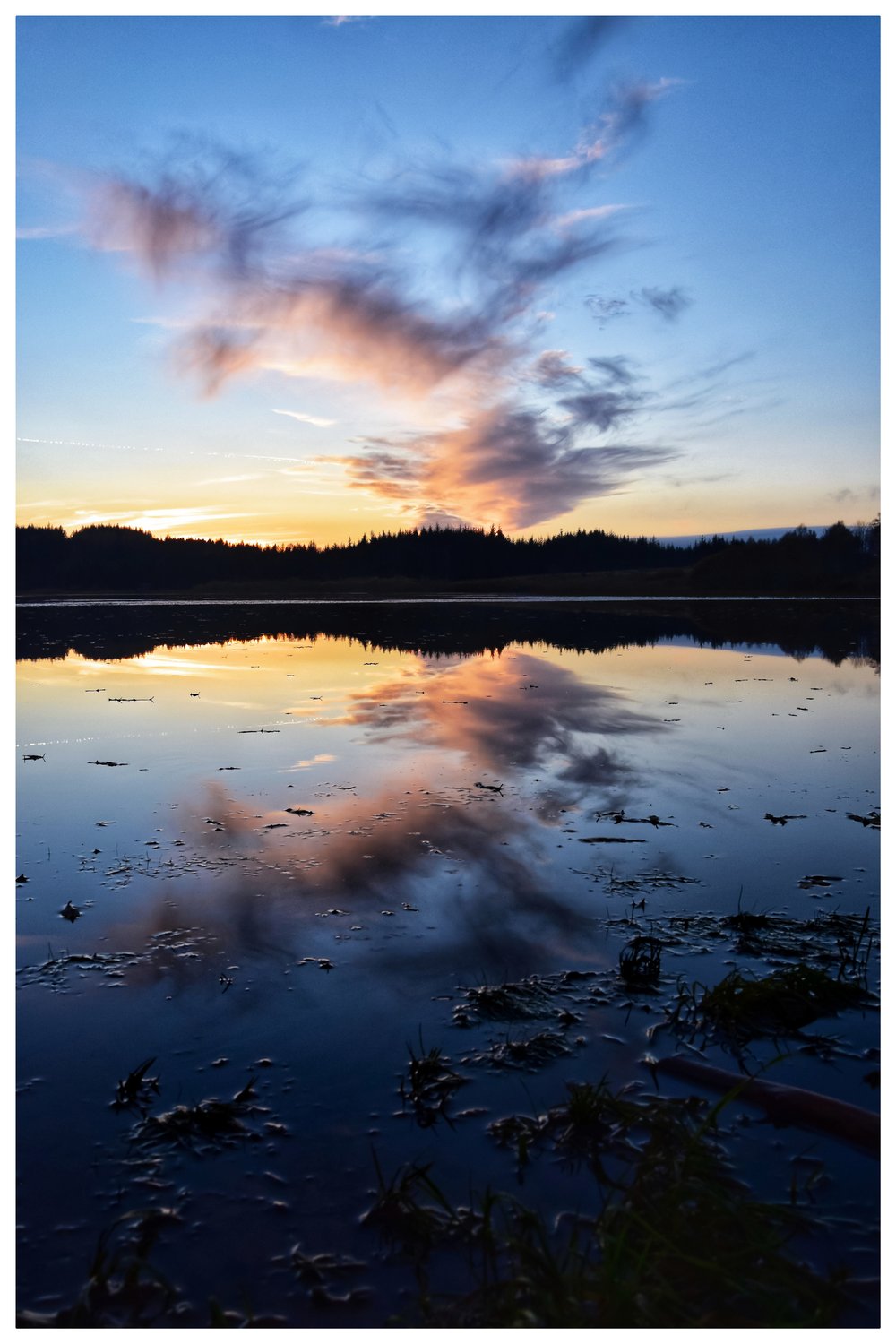 Image of Blue Hour Reflections 