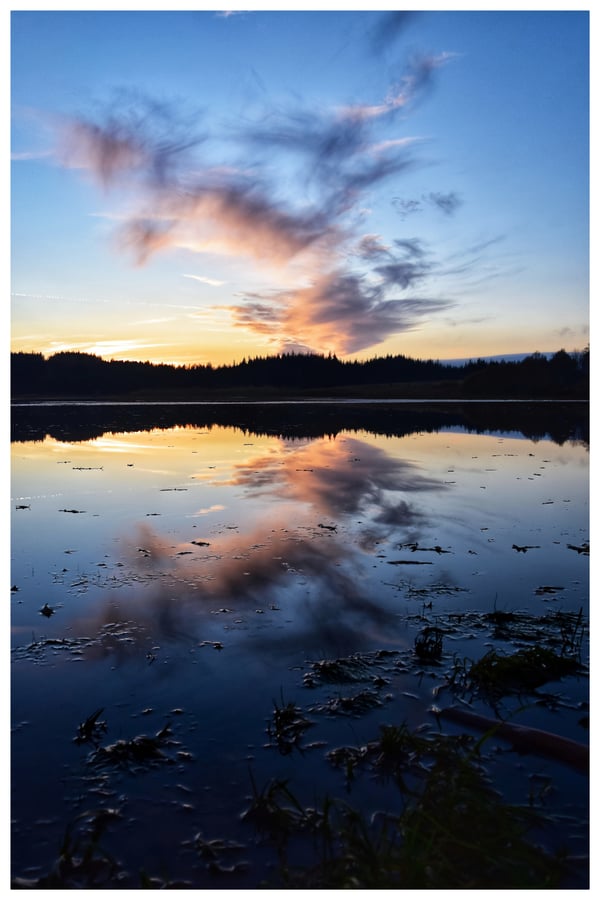 Image of Blue Hour Reflections 