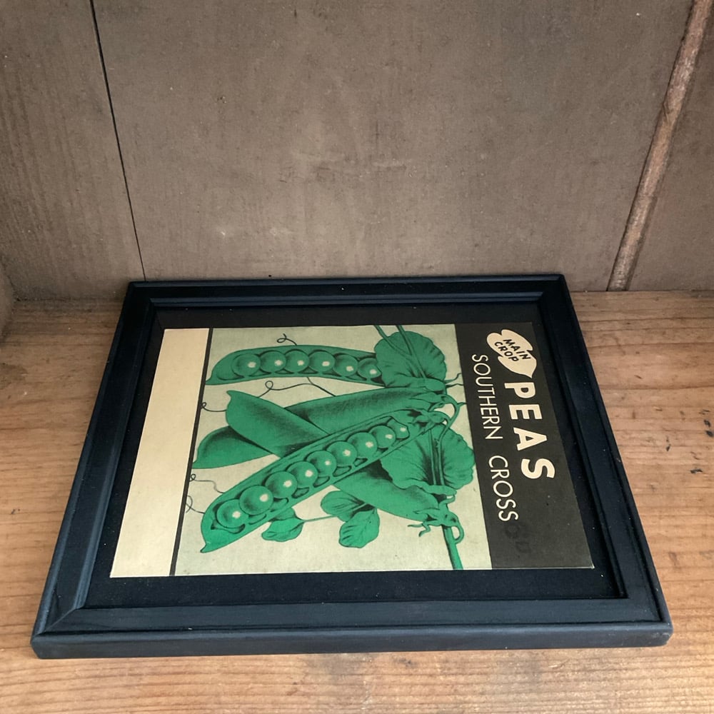 Image of Peas