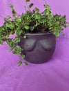 Bewb Planter - Large (Black)