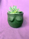 Bewb Planter - Medium (Black)
