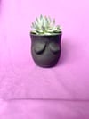 Bewb Plant - Small (Black)