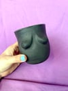 Bewb Plant - Small (Black)