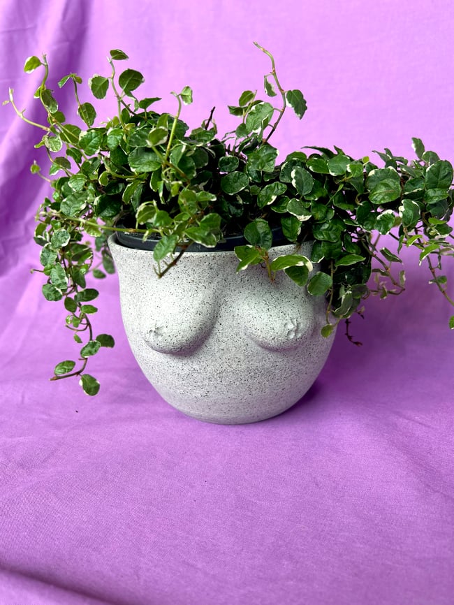 Bewb Planter - Large (Grey Speckled)