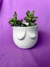 Bewb Planter - Medium (Speckled)