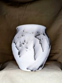 Image 2 of Horse Hair Vessel - A
