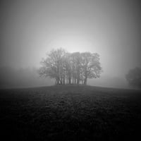 Image 1 of 'The Dead Tree'  &  'A Gathering'  - Set of 2 Photographic Prints PRE ORDER