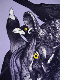 Image 3 of Gérard et les pique-bœufs - Purple + yellow edition