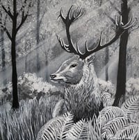 Image 1 of Stag in Moonlit Forest