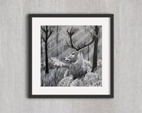 Image 2 of Stag in Moonlit Forest