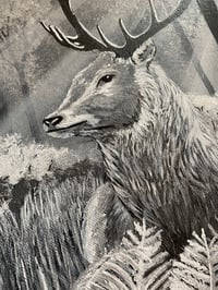 Image 4 of Stag in Moonlit Forest