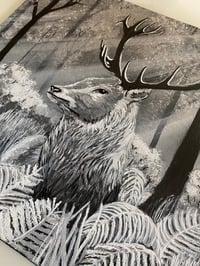 Image 5 of Stag in Moonlit Forest
