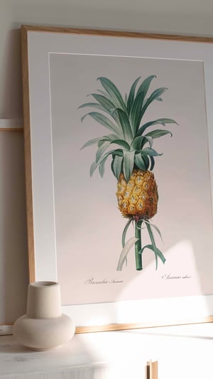 Image of Affiche "Ananas"