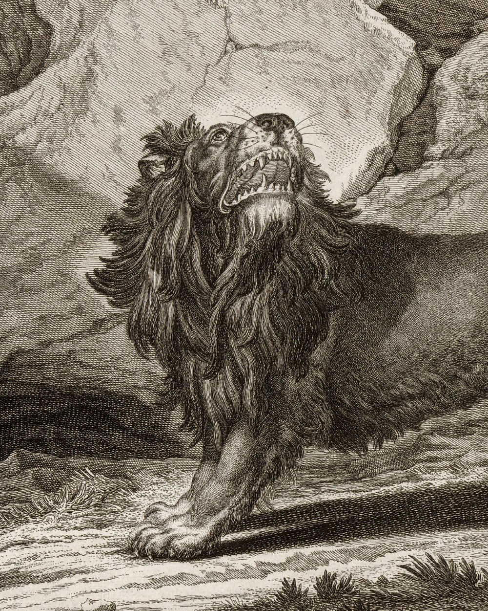 ''Lion with spur'' (1751)