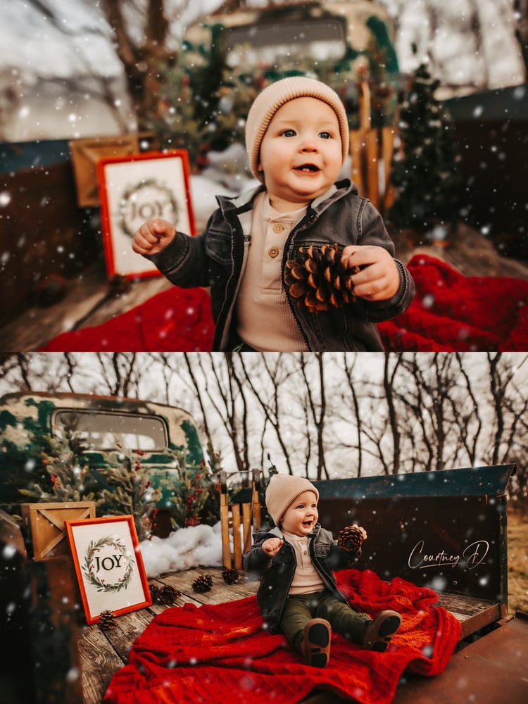 Image of Christmas Truck Minis 2022