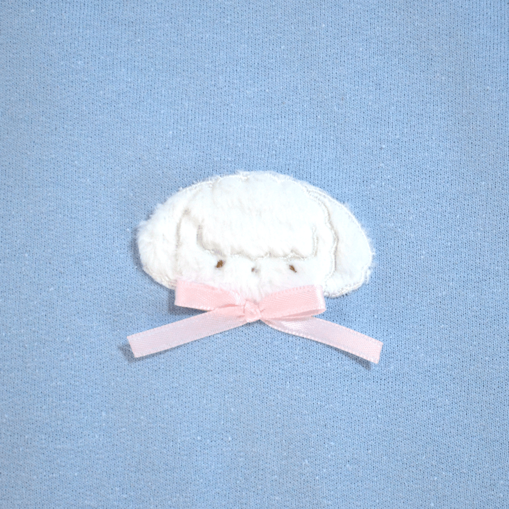 Fluffy Little Brother Sweatshirt