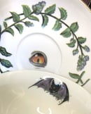 Image 5 of Feline Gilded Teacup and Saucer Set