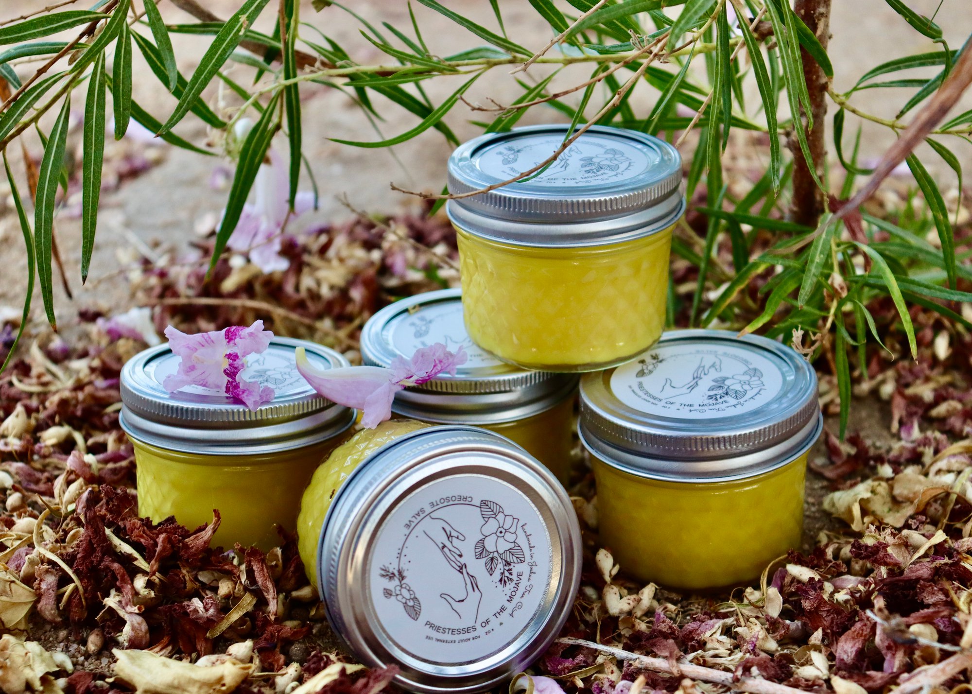 Image of Bundle of 3 - Creosote Salve Body Balm