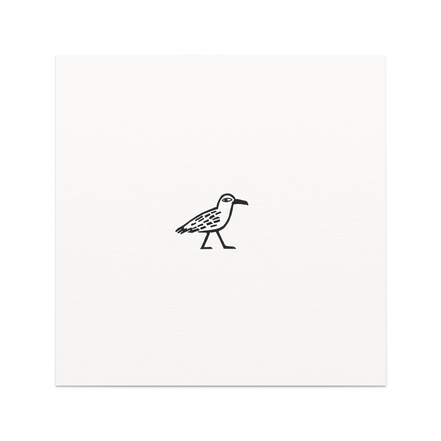 Mouette Rieuse
