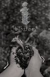 i "blossom" Zine