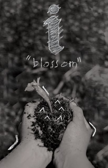 i "blossom" Zine
