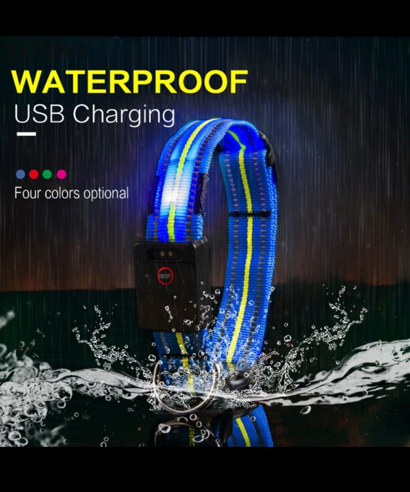 Image of UV dog collar