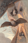 Bats in a Cave Art Print