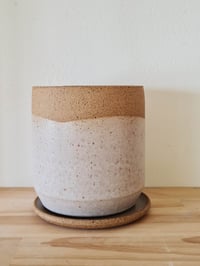 Image 1 of Raw Wave Planter