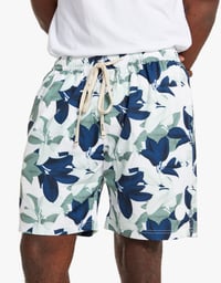 Image 4 of Waikiki Shorts Blue