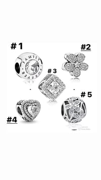 CHARMS FOR PANDORA GROUP #5