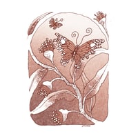 Image 1 of Butterflies - A4 print