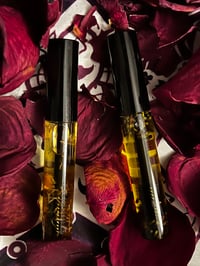 Image 1 of Herb Infused Lavender Bean Eyelash Serum (Set)