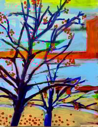 Berries at the Native American Cultural Center 
