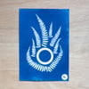 Cyanotype #3